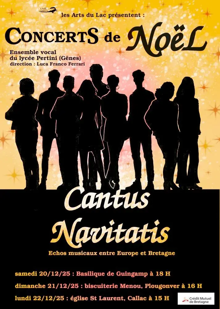 Affiche concert italie