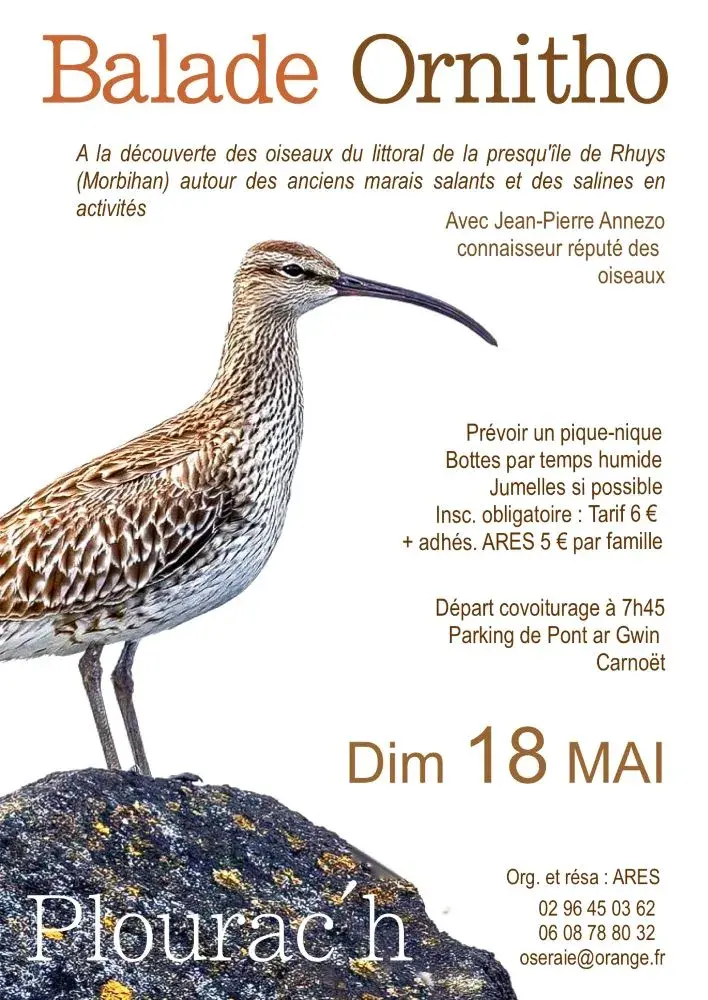 Bal ornitho 2025