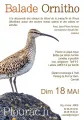 Bal ornitho 2025
