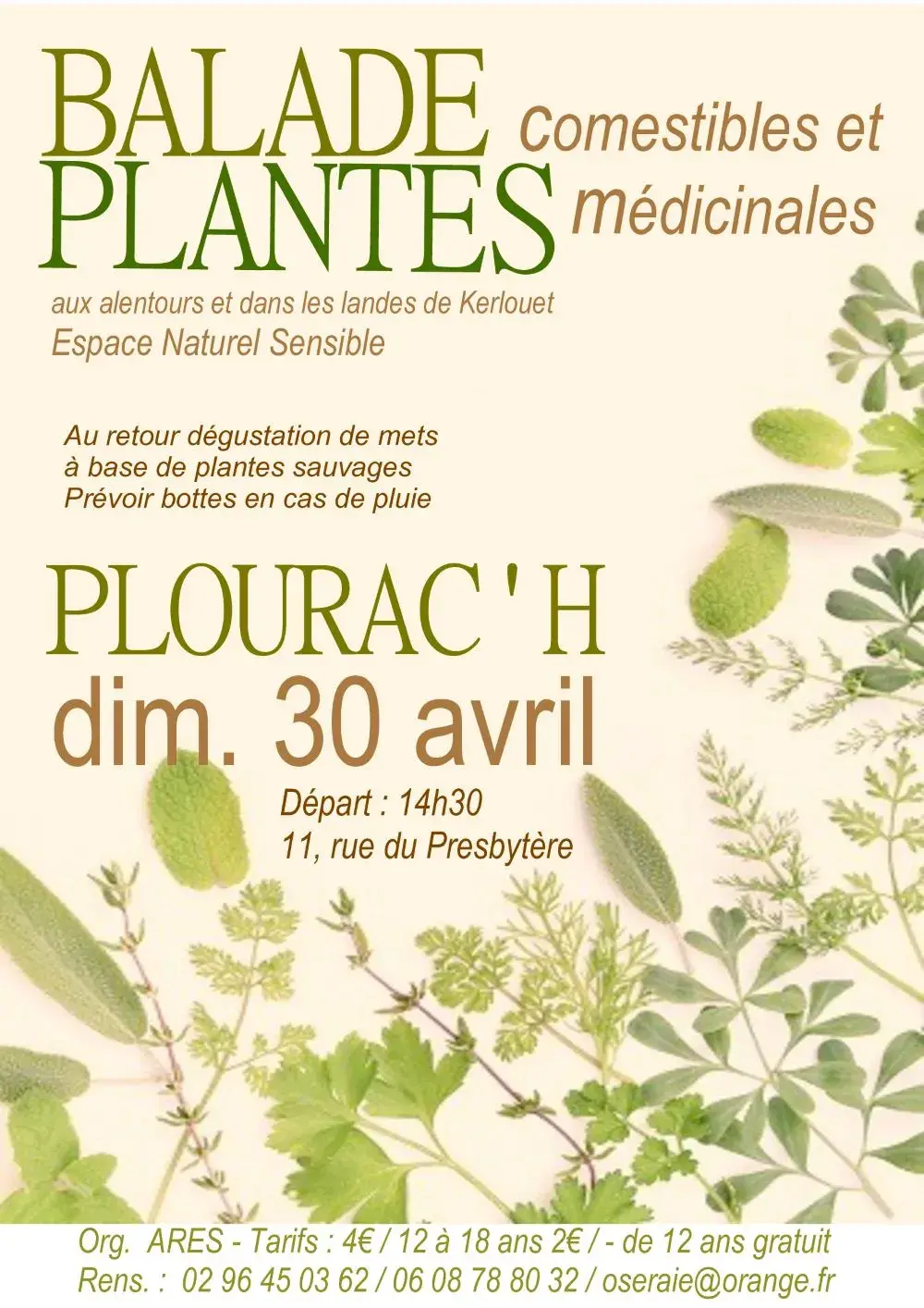 Balade plantes 23