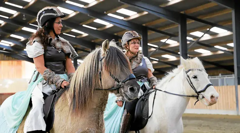 Loisirs concours chevaux scaled