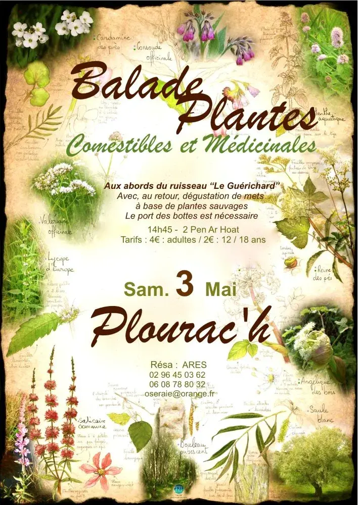 Plantes 2025