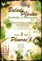 Plantes 2025
